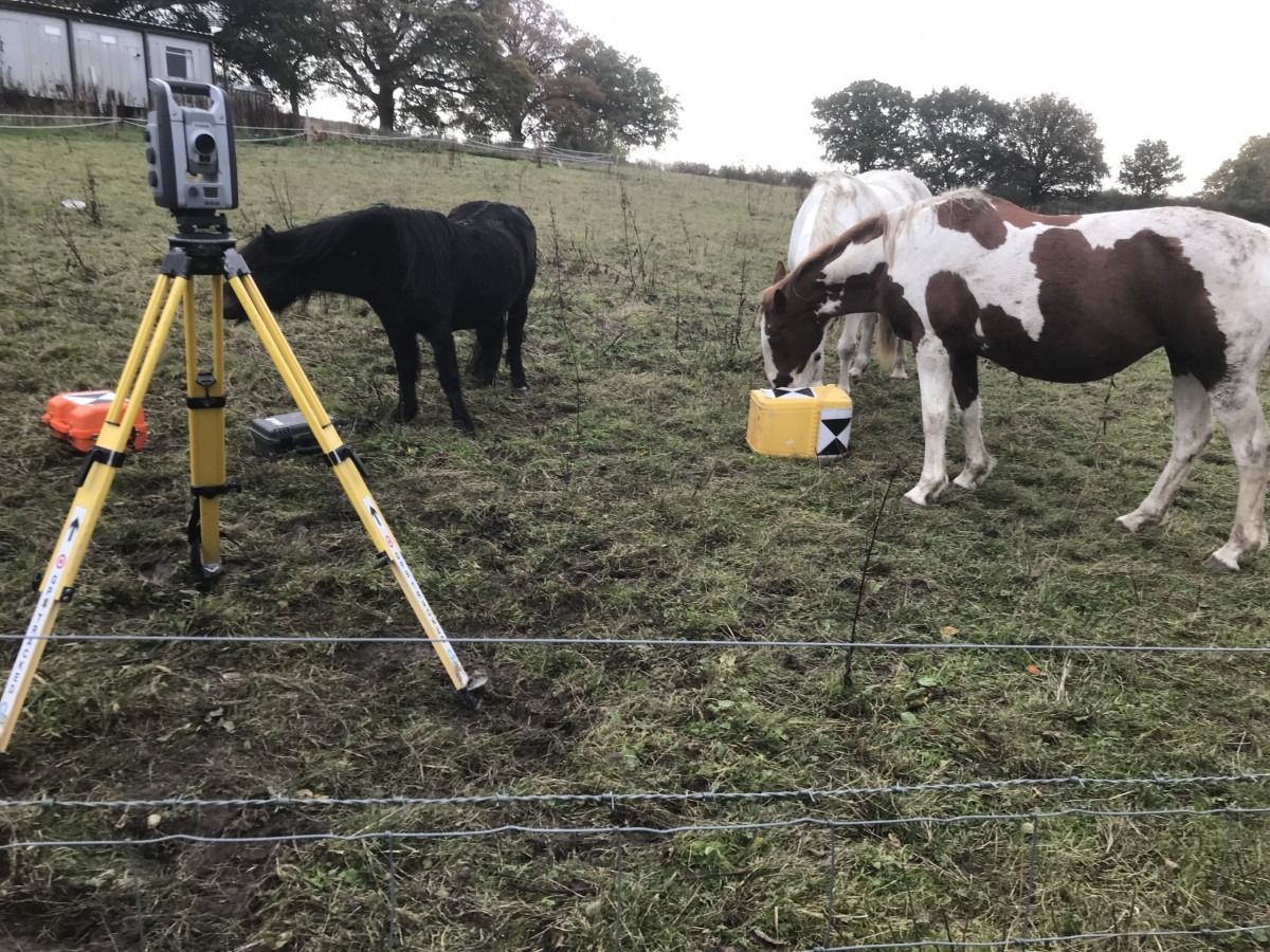 Total Station on Yellow tripod in a field. Three horses are showing an interest in the equipment cases.