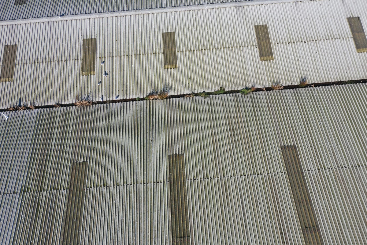 Drone inspection of commercial roof showing vegetation and debris along roof junction