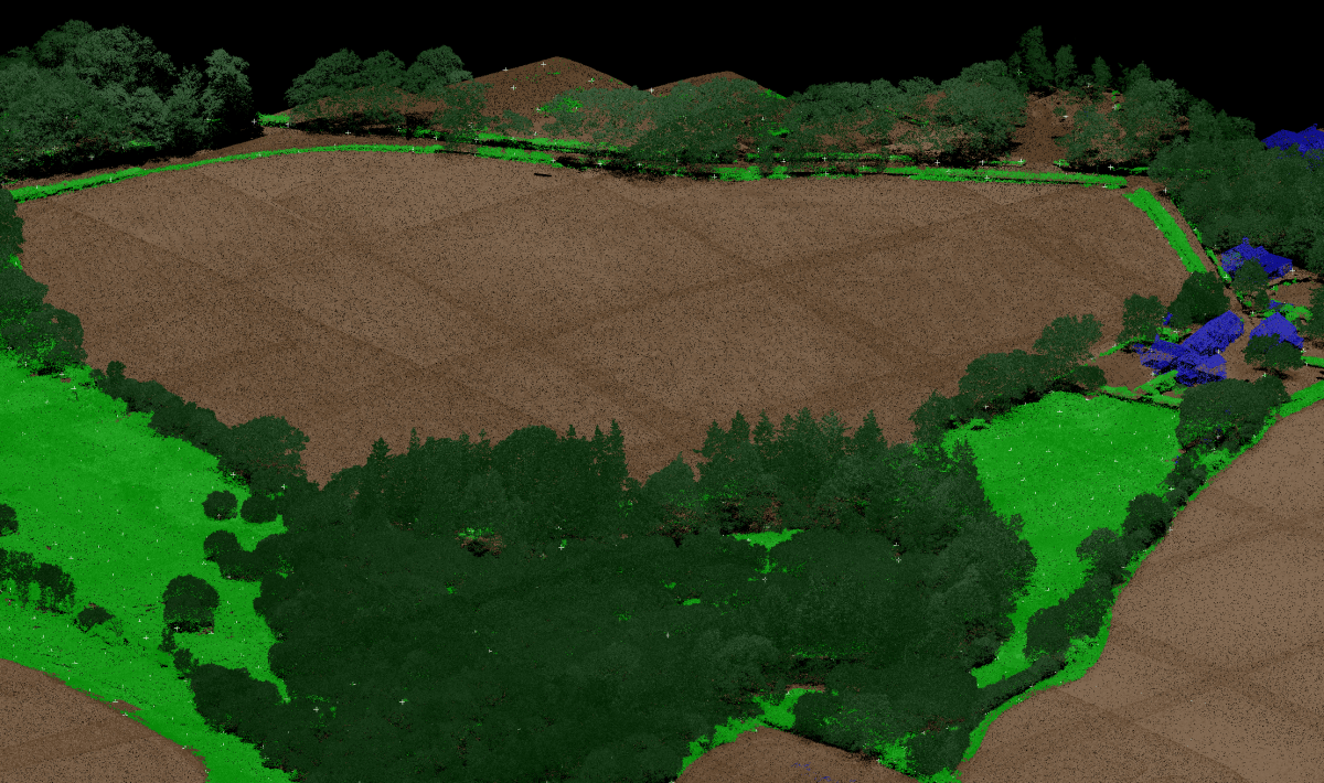 Classified LiDAR point cloud showing ground, vegetation and buildings
